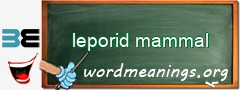 WordMeaning blackboard for leporid mammal